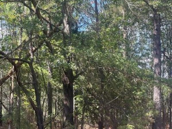 0 Ferry Lake Tract A, Oil City, LA 71061