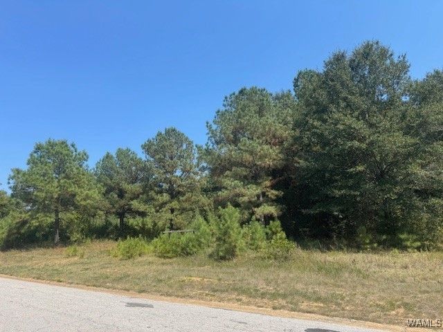 0 30th Ave, Northport, AL 35476 Main Photo