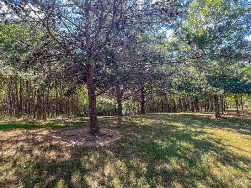 64310 State Route 56, Creola, OH 45622 Photo 12