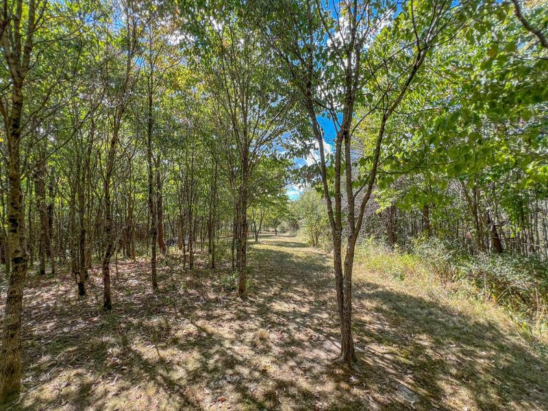 64310 State Route 56, Creola, OH 45622 Photo 13