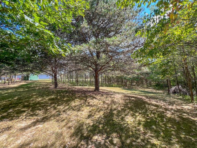 64310 State Route 56, Creola, OH 45622 Photo 14