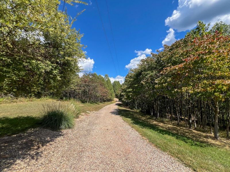 64310 State Route 56, Creola, OH 45622 Photo 17