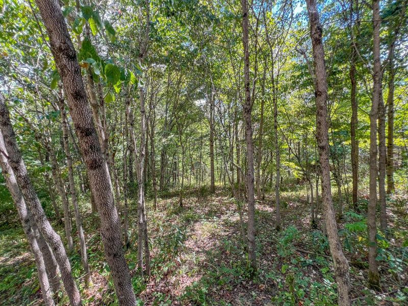 64310 State Route 56, Creola, OH 45622 Photo 18