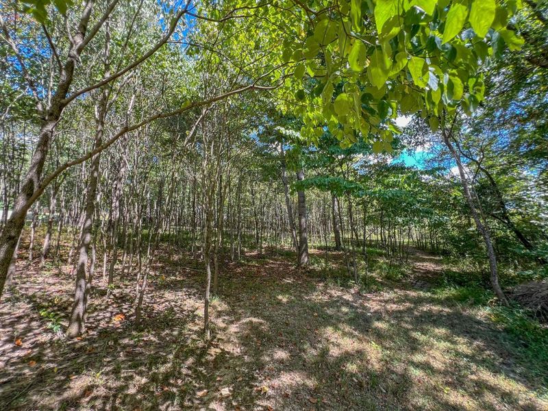 64310 State Route 56, Creola, OH 45622 Photo 21