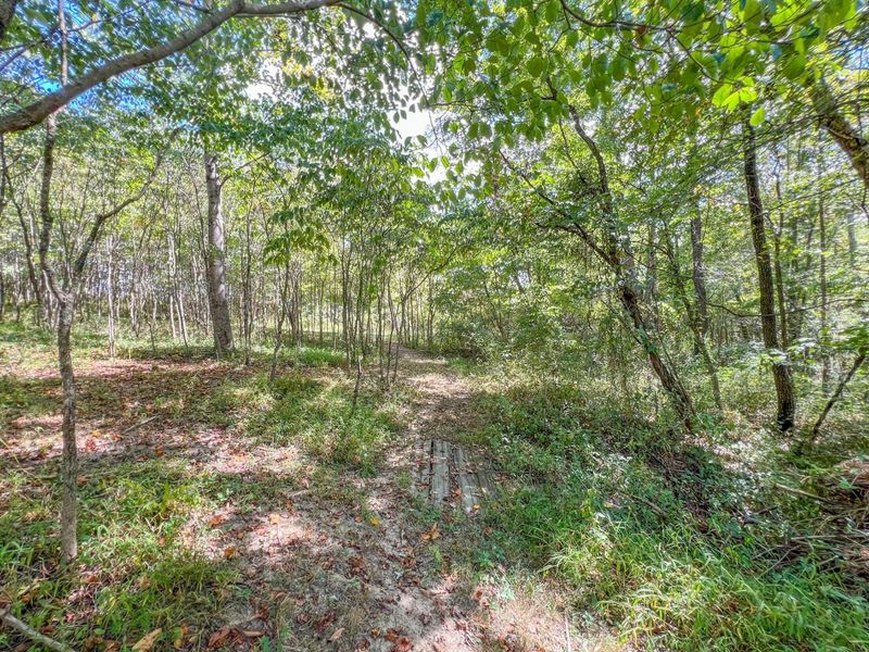 64310 State Route 56, Creola, OH 45622 Photo 22