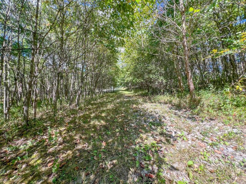 64310 State Route 56, Creola, OH 45622 Photo 23