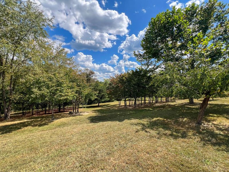 64310 State Route 56, Creola, OH 45622 Photo 5