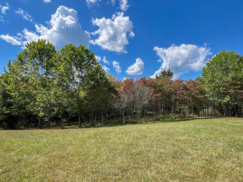 64310 State Route 56, Creola, OH 45622 Photo 8