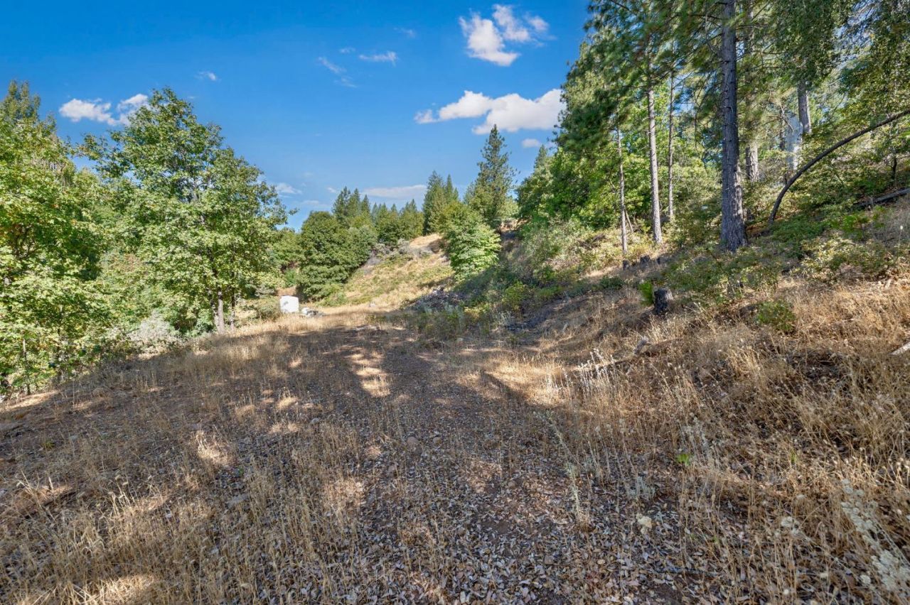 4921 Eight Mile Rd, Camino, CA 95709 Photo