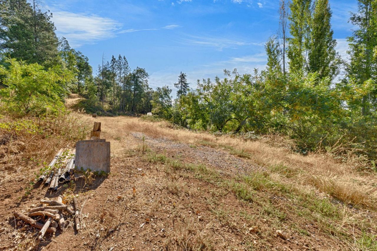 4921 Eight Mile Rd, Camino, CA 95709 Photo