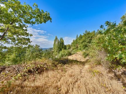 4921 Eight Mile Rd, Camino, CA 95709 Photo