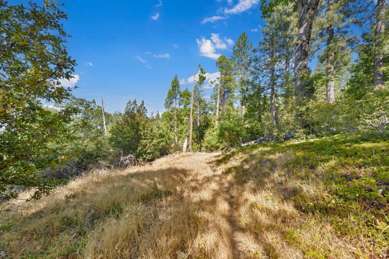 4921 Eight Mile Rd, Camino, CA 95709 Photo