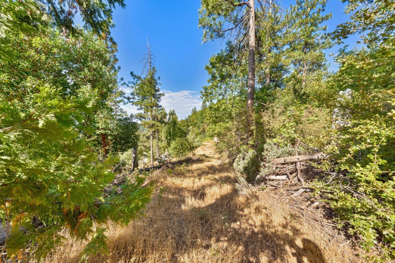 4921 Eight Mile Rd, Camino, CA 95709 Photo