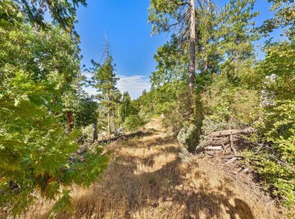 4921 Eight Mile Rd, Camino, CA 95709 Photo