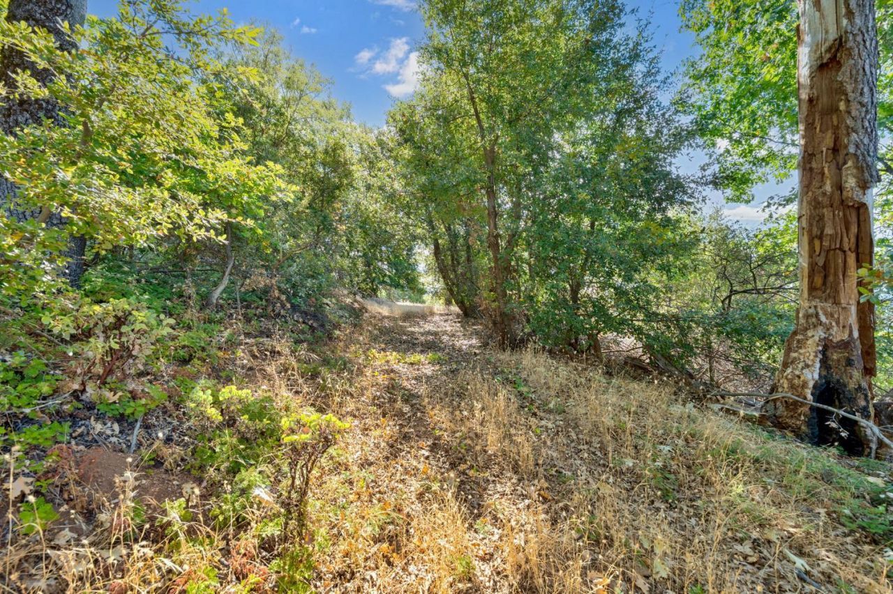 4921 Eight Mile Rd, Camino, CA 95709 Photo