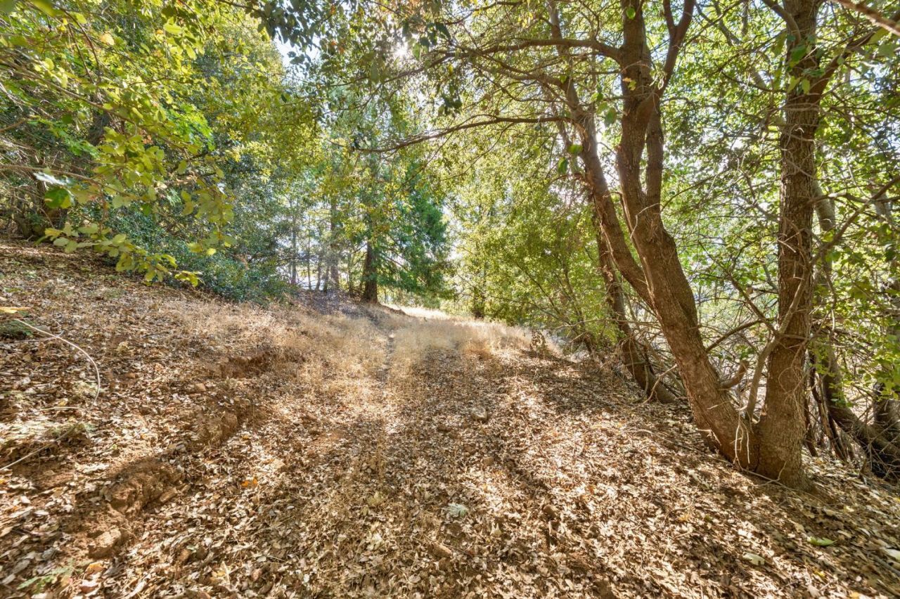 4921 Eight Mile Rd, Camino, CA 95709 Photo