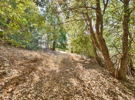 4921 Eight Mile Rd, Camino, CA 95709 Photo