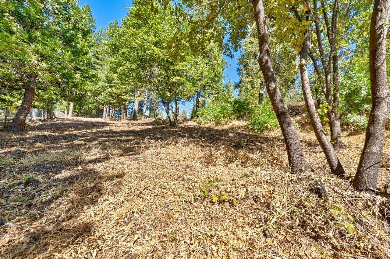 4921 Eight Mile Rd, Camino, CA 95709 Photo