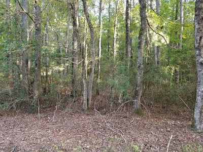 0 Buckhead Road, Smoaks, SC 29481