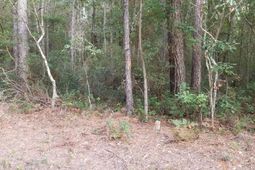 0 Buckhead Road photo 4