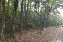 0 Buckhead Road photo 4