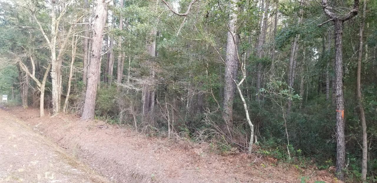 0 Buckhead Road Photo 4