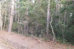 0 Buckhead Road photo 4