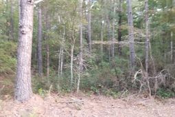 0 Buckhead Road photo 4