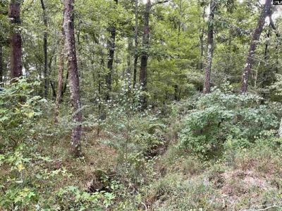 3551 Moonlight Road Photo 11