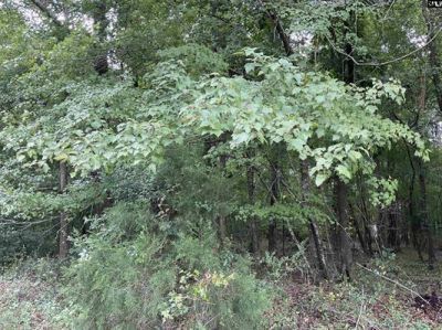 3551 Moonlight Road Photo 12