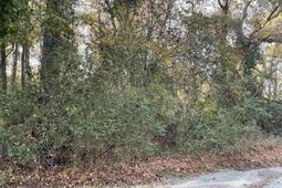 3551 Moonlight Road photo 4