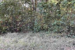 3551 Moonlight Road photo 4