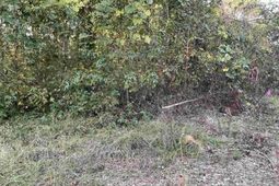 3551 Moonlight Road photo 4