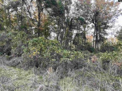 3551 Moonlight Road Photo 5