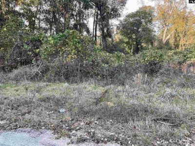 3551 Moonlight Road Photo 6