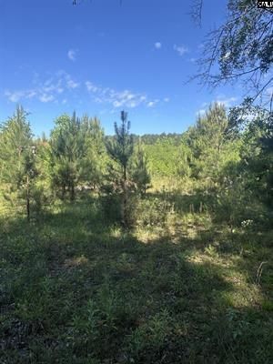 3551 Moonlight Road Photo 8