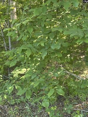 3551 Moonlight Road Photo 9