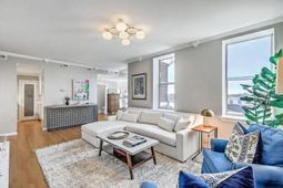 55 Ashley Avenue photo 4