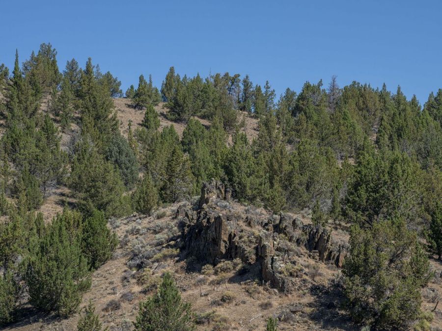 Property Image 101