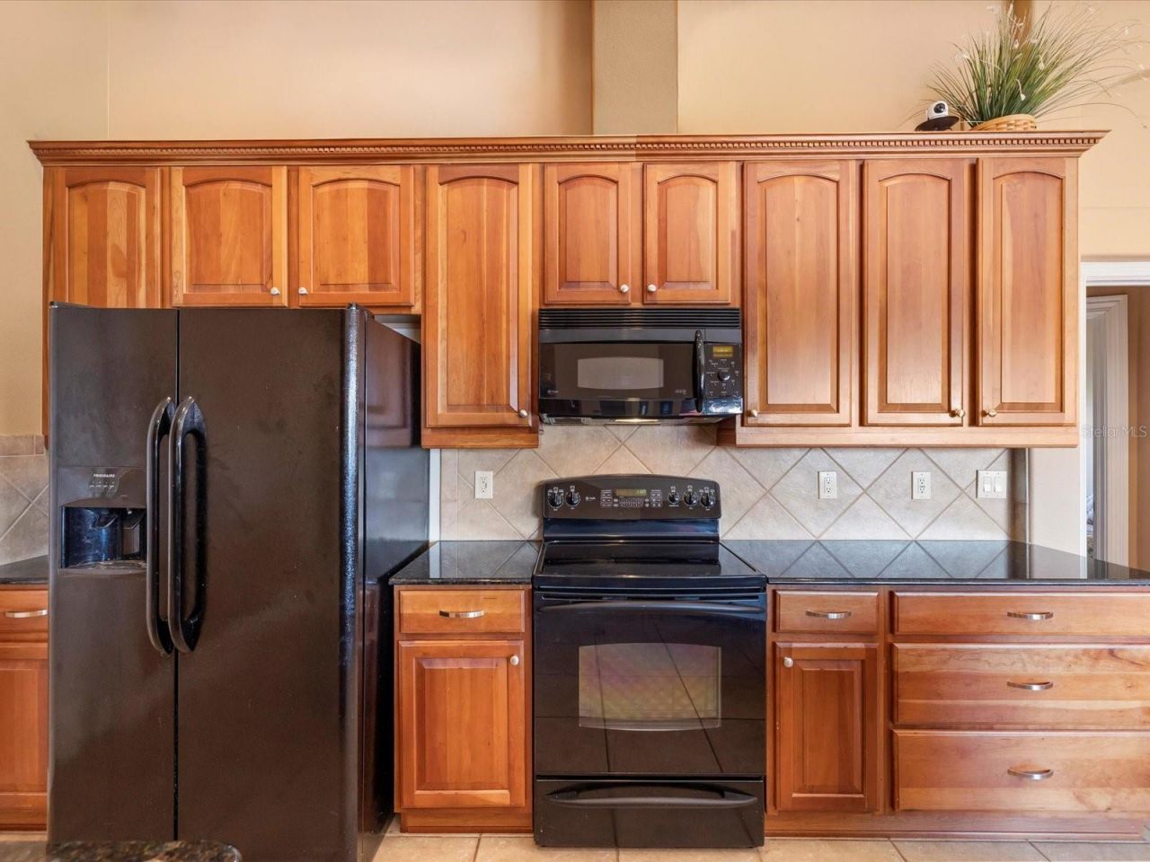 10700 Garda Drive, Trinity, FL 34655 Photo