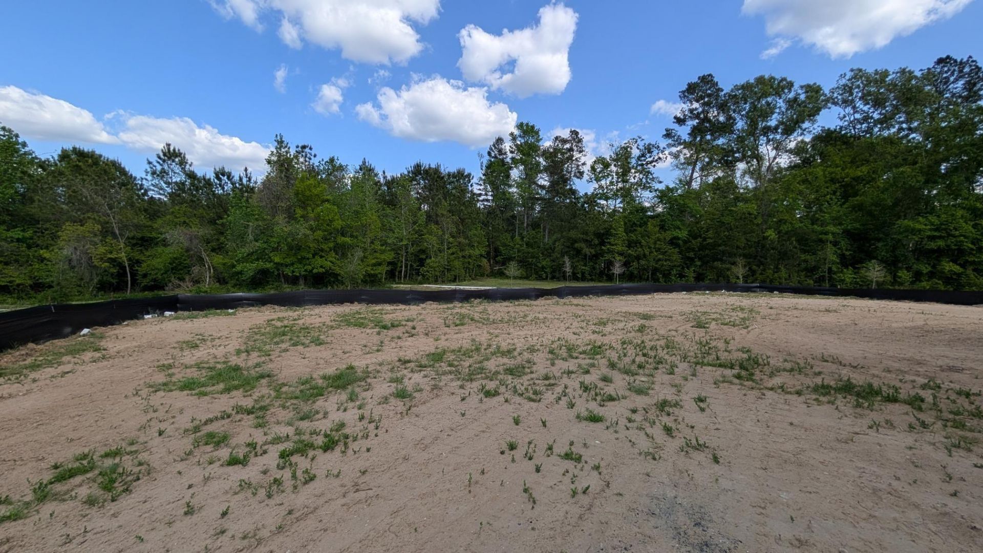 336 Palfrey Drive Photo 4