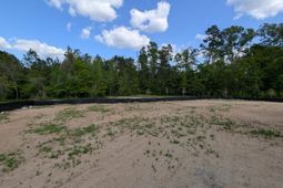 336 Palfrey Drive photo 4