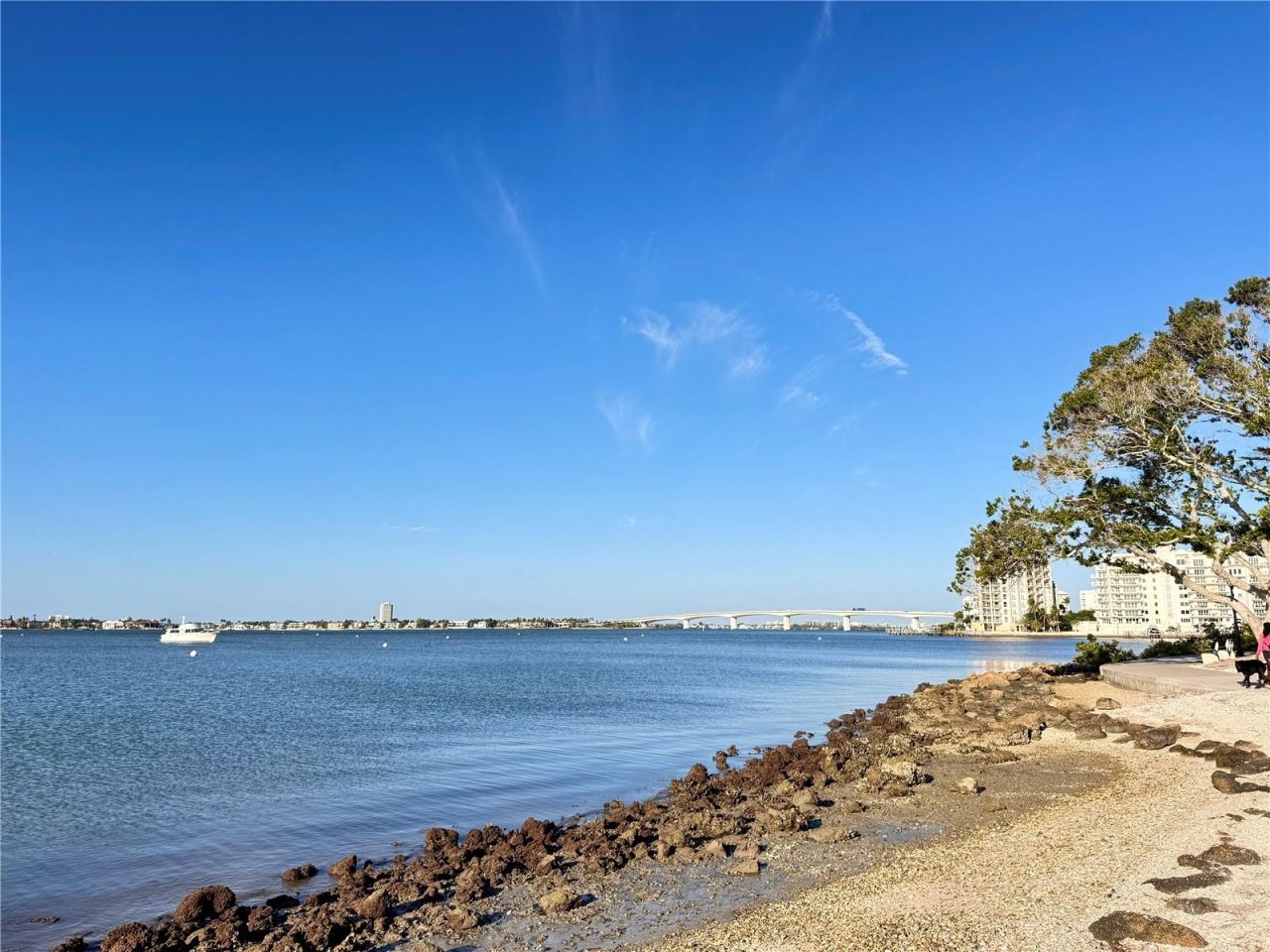 711 S Palm Avenue, Unit 303, Sarasota, FL 34236 Photo