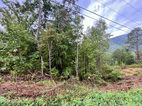 Lot 97 Bluff Ridge Rd, Sevierville, TN 37876