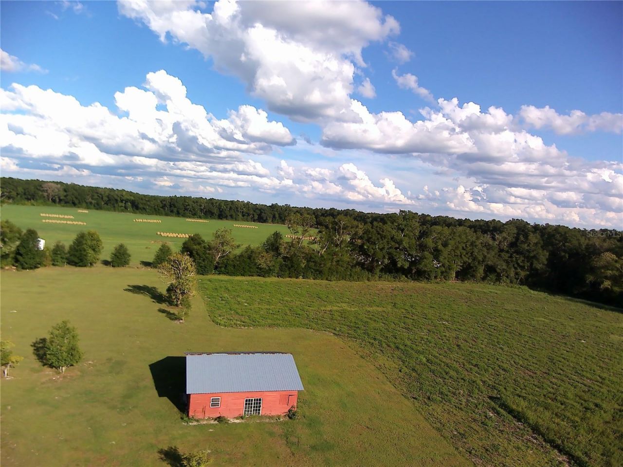 5559 SW 42nd Place, Bell, FL 32619 Photo