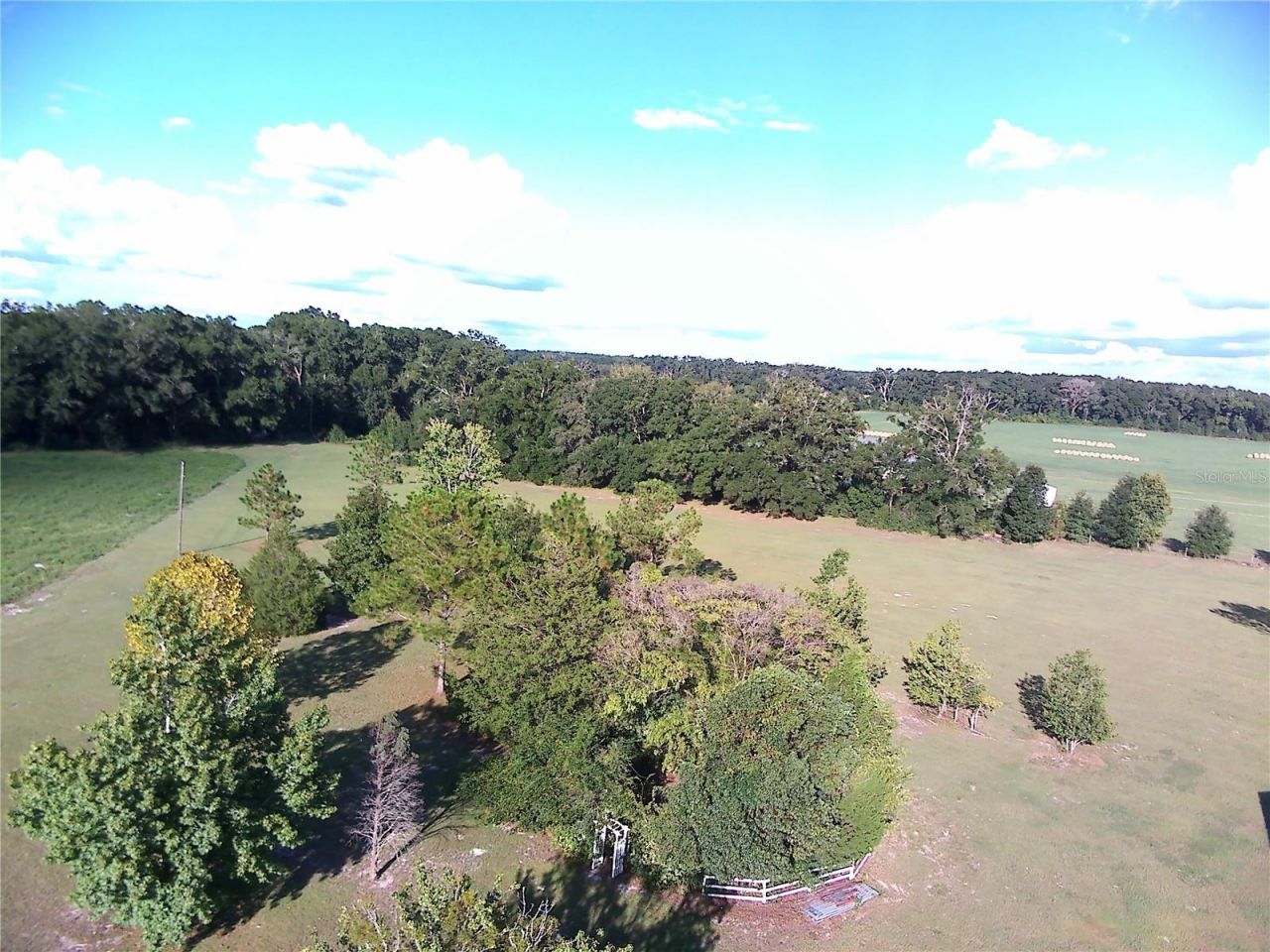 5559 SW 42nd Place, Bell, FL 32619 Photo