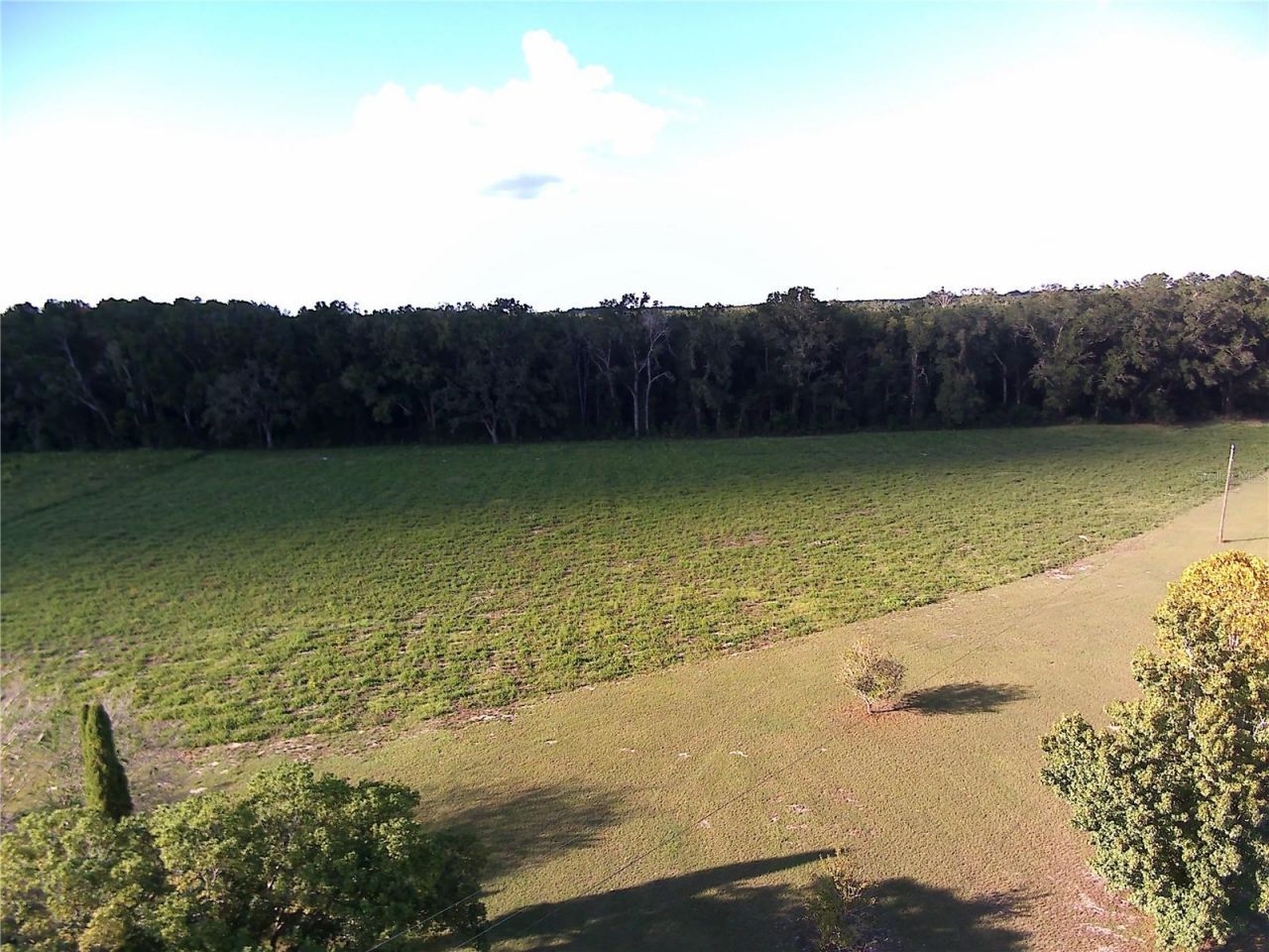 5559 SW 42nd Place, Bell, FL 32619 Photo