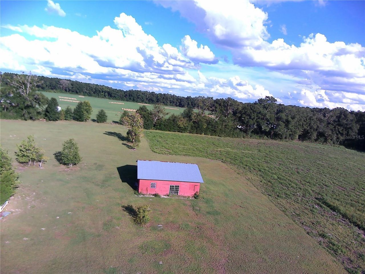 5559 SW 42nd Place, Bell, FL 32619 Photo