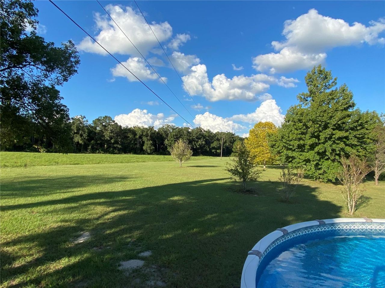 5559 SW 42nd Place, Bell, FL 32619 Photo