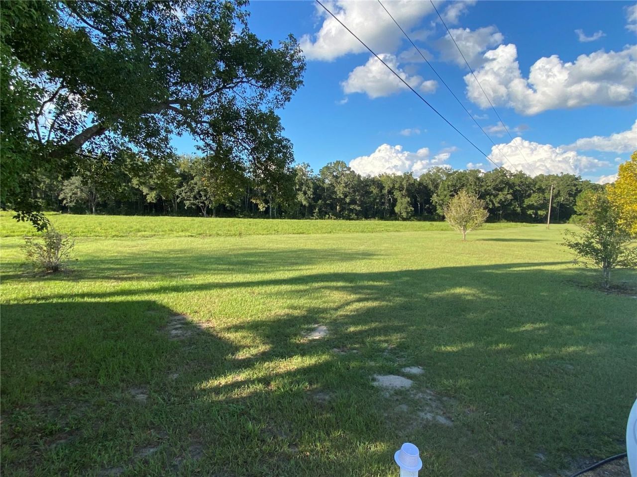 5559 SW 42nd Place, Bell, FL 32619 Photo